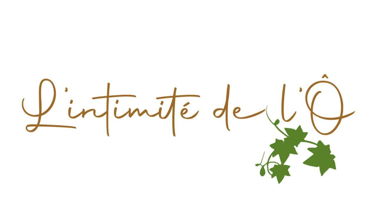 Отель L'Intimite De L'O Merbes-le-Chateau Экстерьер фото